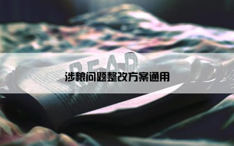 涉粮问题整改方案通用