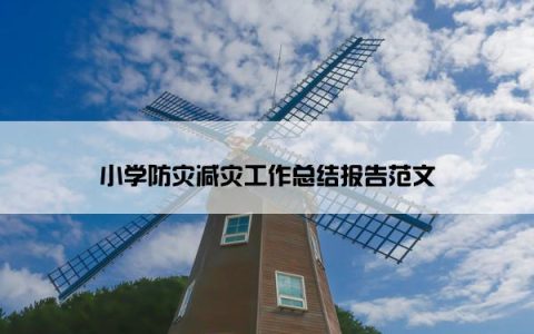 小学防灾减灾工作总结报告范文