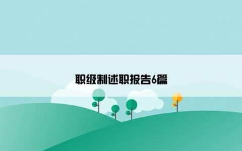 职级制述职报告6篇