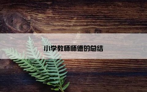 小学教师师德的总结