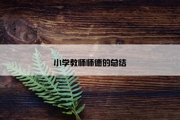 小学教师师德的总结