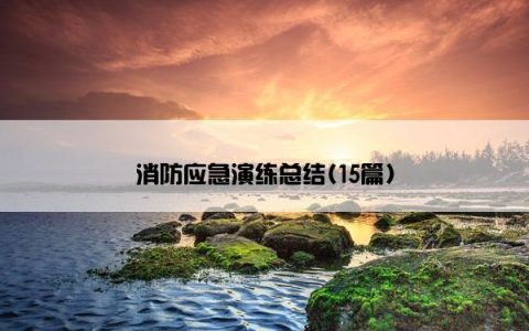 消防应急演练总结(15篇)