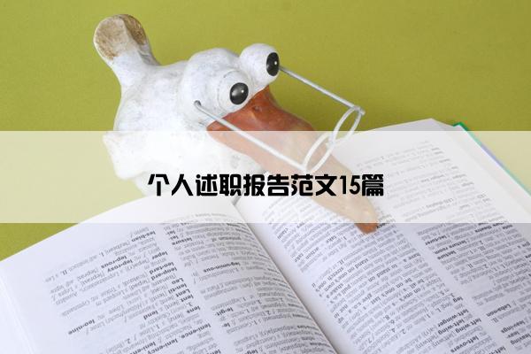 个人述职报告范文15篇