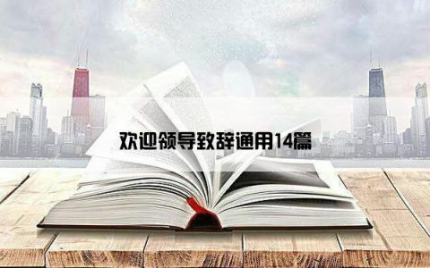 欢迎领导致辞通用14篇