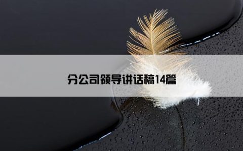 分公司领导讲话稿14篇