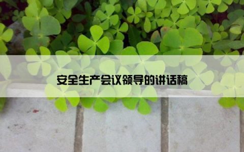 安全生产会议领导的讲话稿