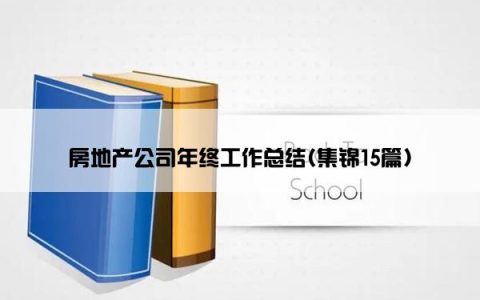 房地产公司年终工作总结(集锦15篇)