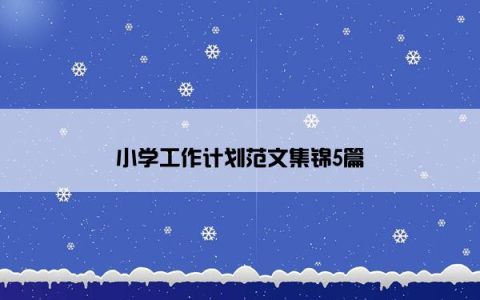 小学工作计划范文集锦5篇