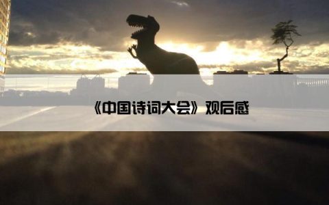 《中国诗词大会》观后感