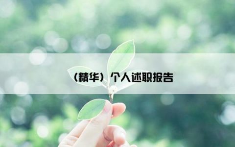 （精华）个人述职报告