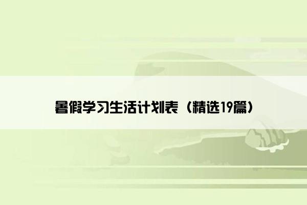 暑假学习生活计划表（精选19篇）