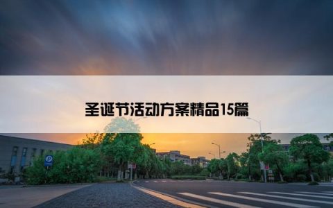 圣诞节活动方案精品15篇