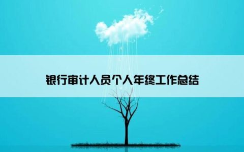 银行审计人员个人年终工作总结