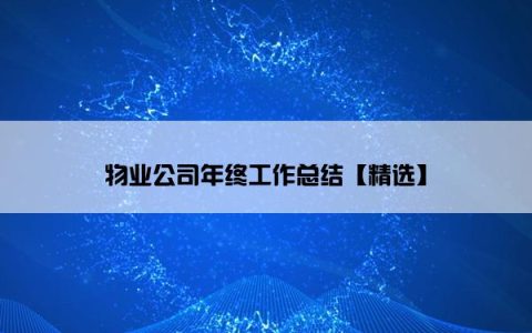 物业公司年终工作总结【精选】