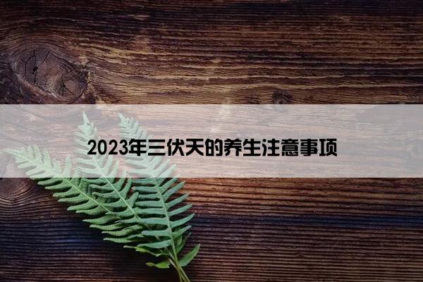 2023年三伏天的养生注意事项