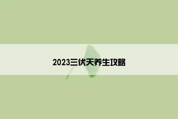 2023三伏天养生攻略