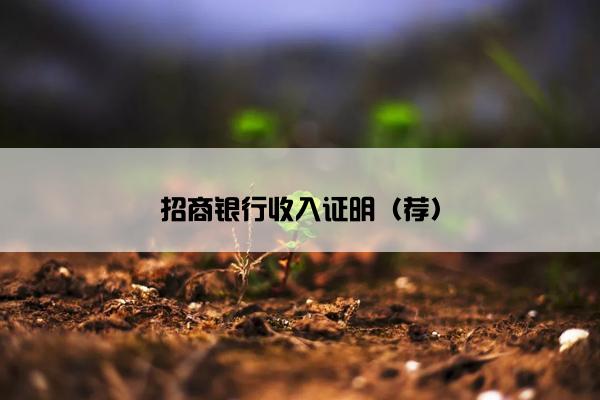 招商银行收入证明（荐）