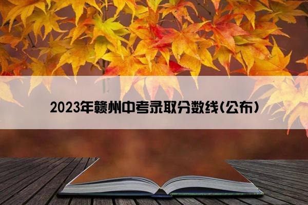 2023年赣州中考录取分数线(公布)