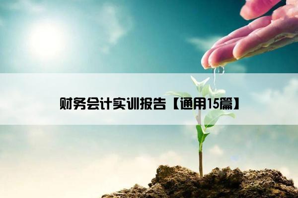 财务会计实训报告【通用15篇】