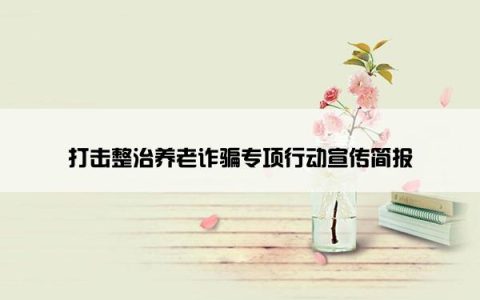 打击整治养老诈骗专项行动宣传简报