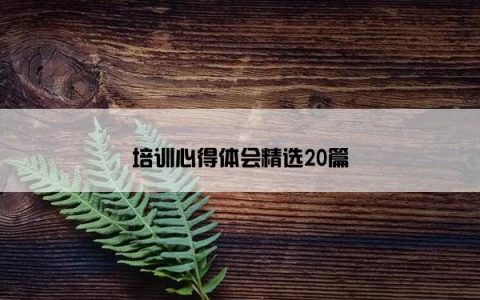 培训心得体会精选20篇