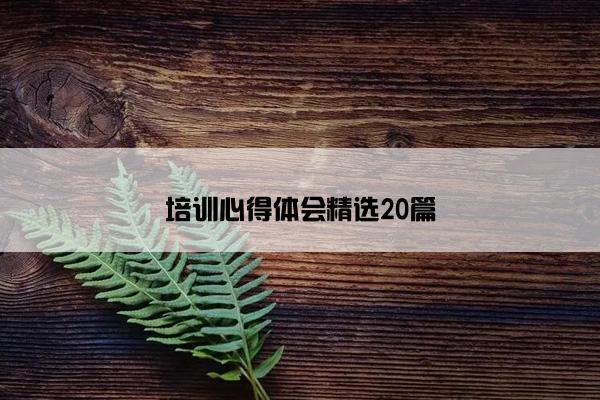 培训心得体会精选20篇