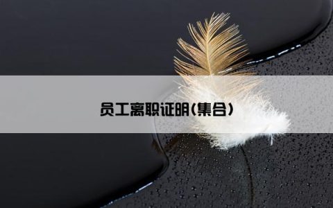 员工离职证明(集合)