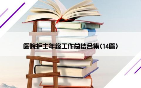 医院护士年终工作总结合集(14篇)