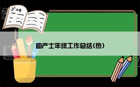 助产士年终工作总结(热)