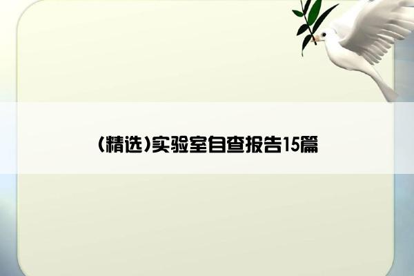 (精选)实验室自查报告15篇