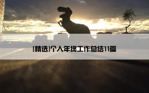 [精选]个人年终工作总结11篇