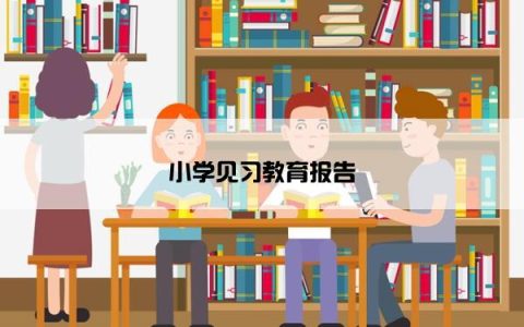 小学见习教育报告
