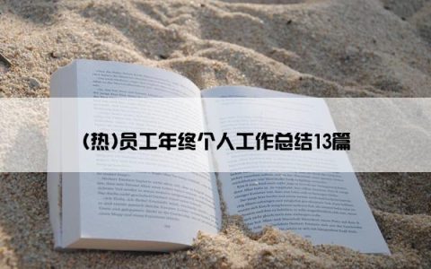 (热)员工年终个人工作总结13篇