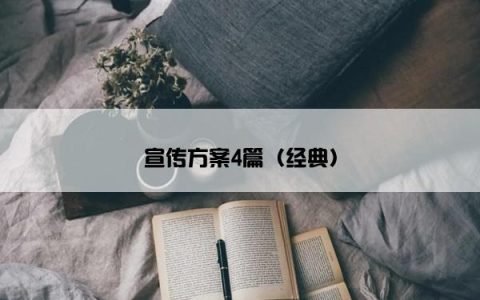 宣传方案4篇（经典）