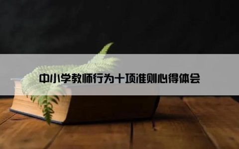 中小学教师行为十项准则心得体会