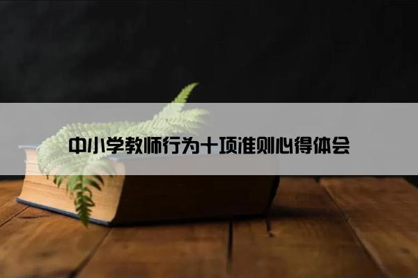 中小学教师行为十项准则心得体会