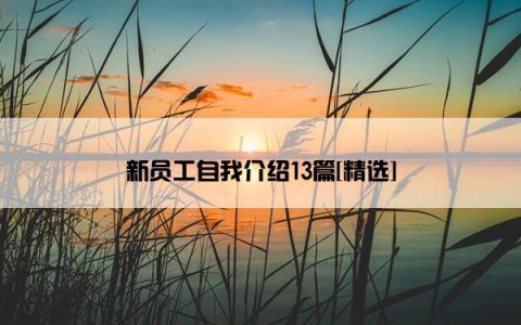 新员工自我介绍13篇[精选]