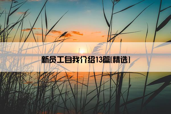 新员工自我介绍13篇[精选]