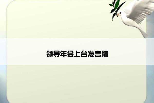 领导年会上台发言稿