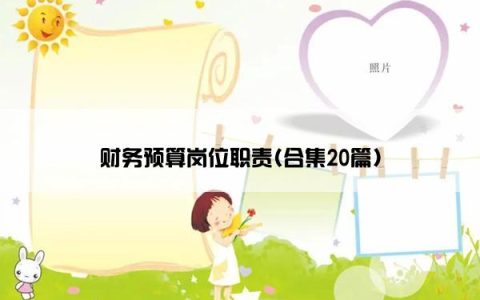 财务预算岗位职责(合集20篇)