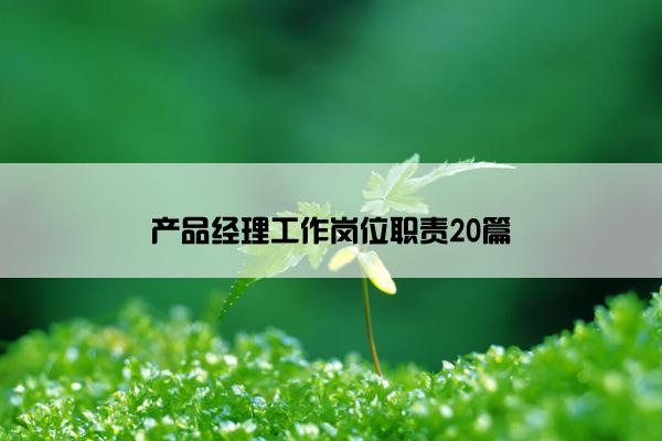 产品经理工作岗位职责20篇