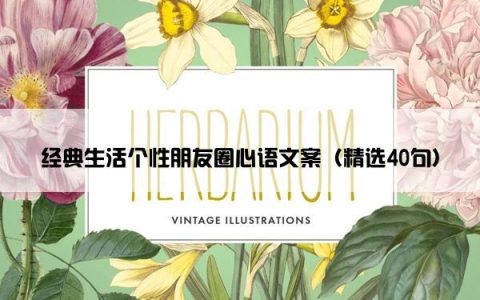 经典生活个性朋友圈心语文案（精选40句）