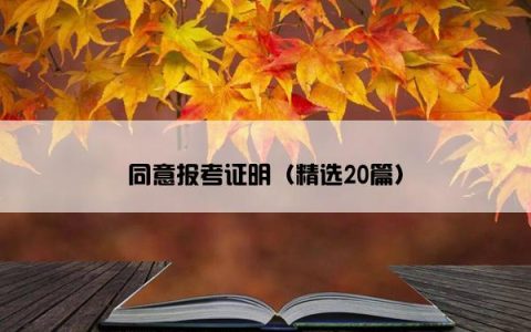 同意报考证明（精选20篇）