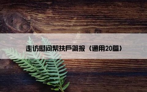 走访慰问帮扶户简报（通用20篇）