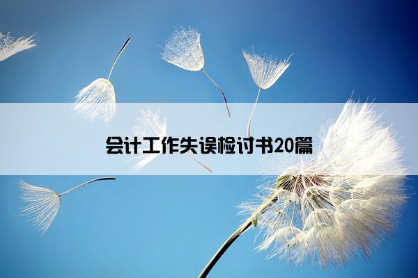 会计工作失误检讨书20篇