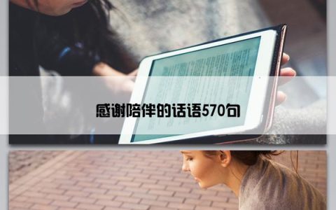 感谢陪伴的话语570句