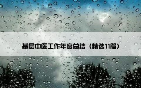 基层中医工作年度总结（精选11篇）