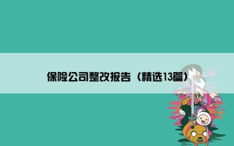 保险公司整改报告（精选13篇）