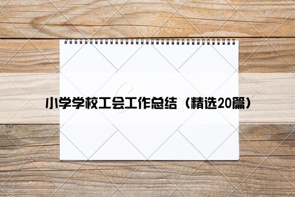 小学学校工会工作总结（精选20篇）