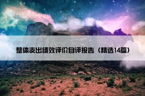 整体支出绩效评价自评报告（精选14篇）